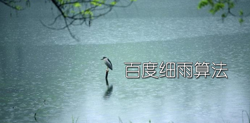 企業(yè)站遭百度“細雨算法”打擊后該怎么辦？